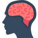brain baranesh هوش هیجانی (عاطفی) چیست و چطور تقویتش کنیم؟ کسب و کار, هوش عاطفی, هوش هیجانی